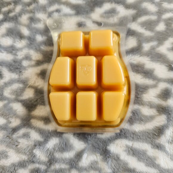 Assorted Scentsy 3.2 oz Wax Melts 8-Bar Packs New - You choose! - Picture 5 of 13